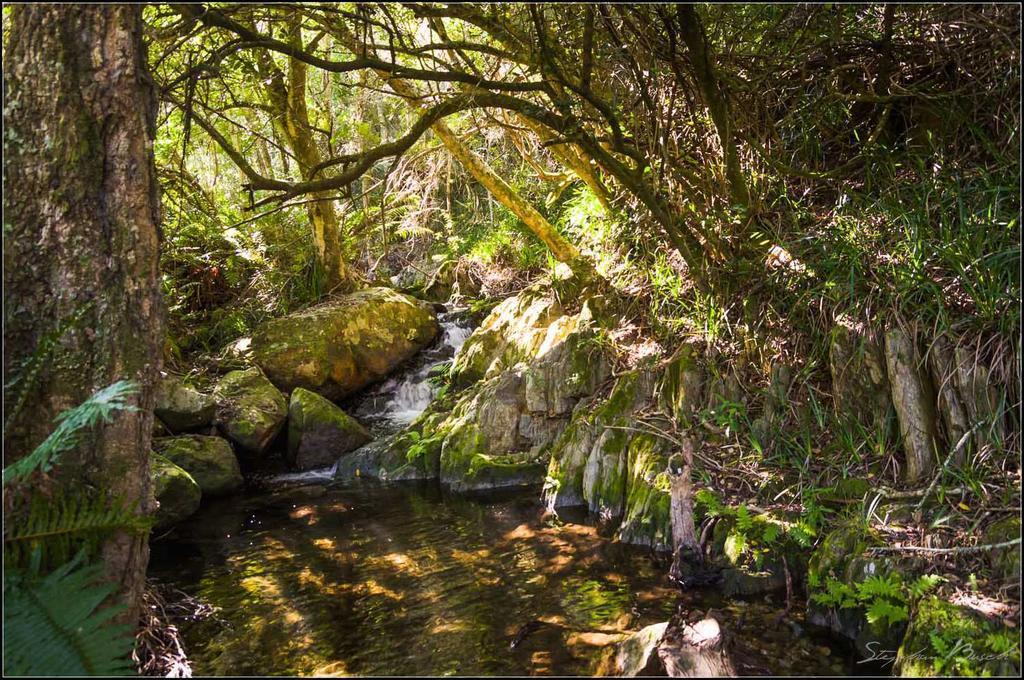 Pat Busch Mountain Reserve Робертсон Екстер'єр фото