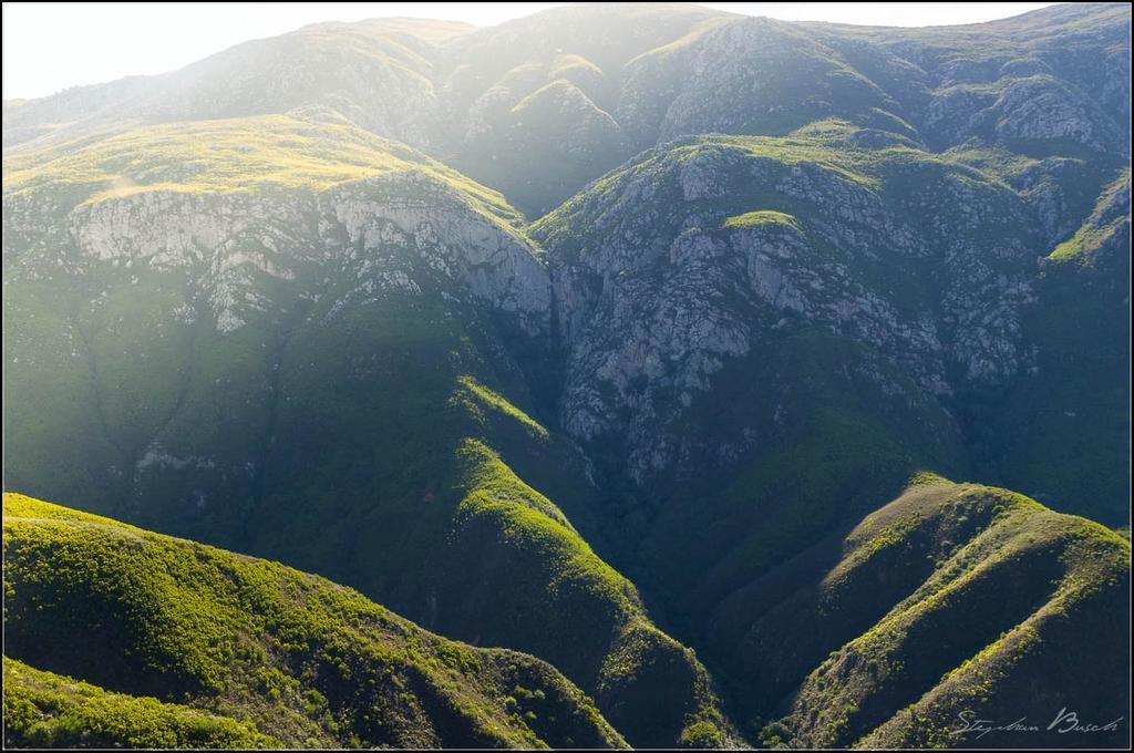 Pat Busch Mountain Reserve Робертсон Екстер'єр фото