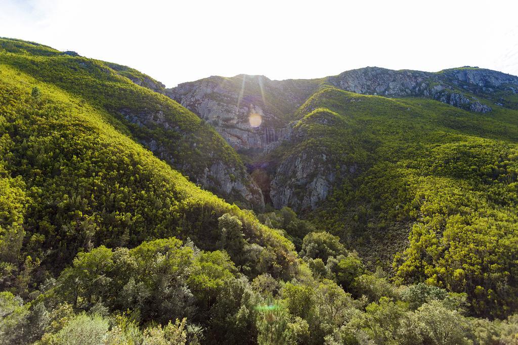 Pat Busch Mountain Reserve Робертсон Екстер'єр фото