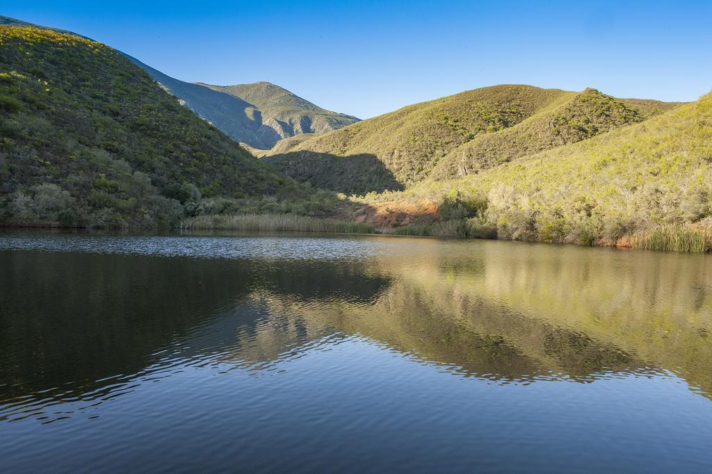 Pat Busch Mountain Reserve Робертсон Екстер'єр фото