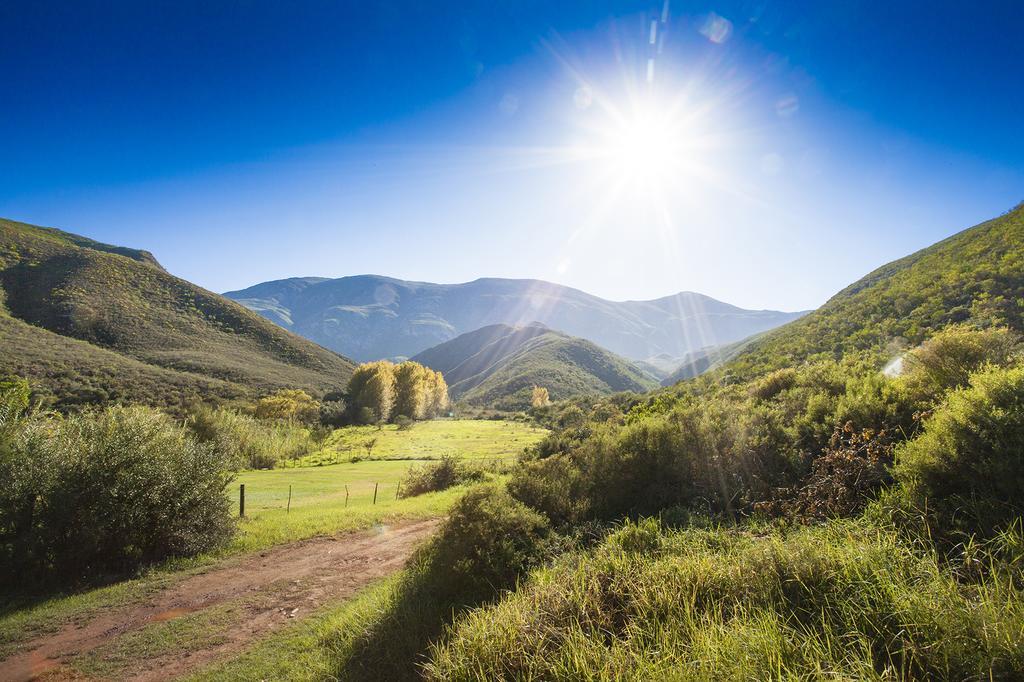 Pat Busch Mountain Reserve Робертсон Екстер'єр фото